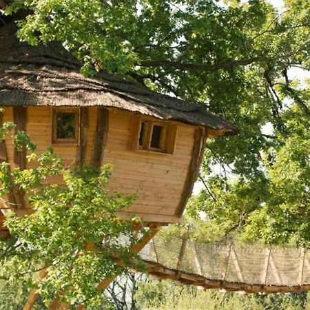 Cabane Perchee Dans Les Arbres Saint-Hilaire-en-Morvan Luaran gambar