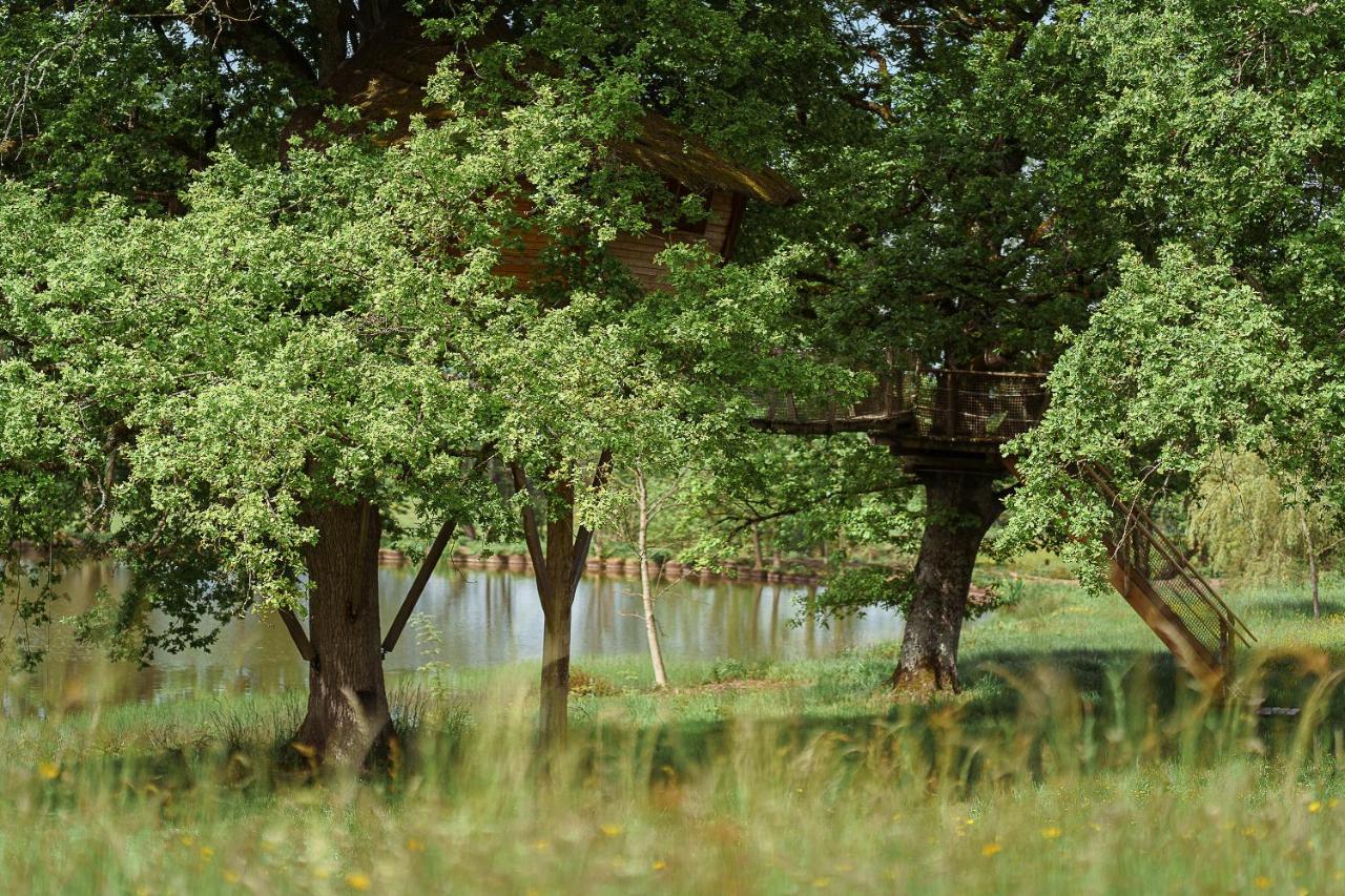 Cabane Perchee Dans Les Arbres Saint-Hilaire-en-Morvan Luaran gambar