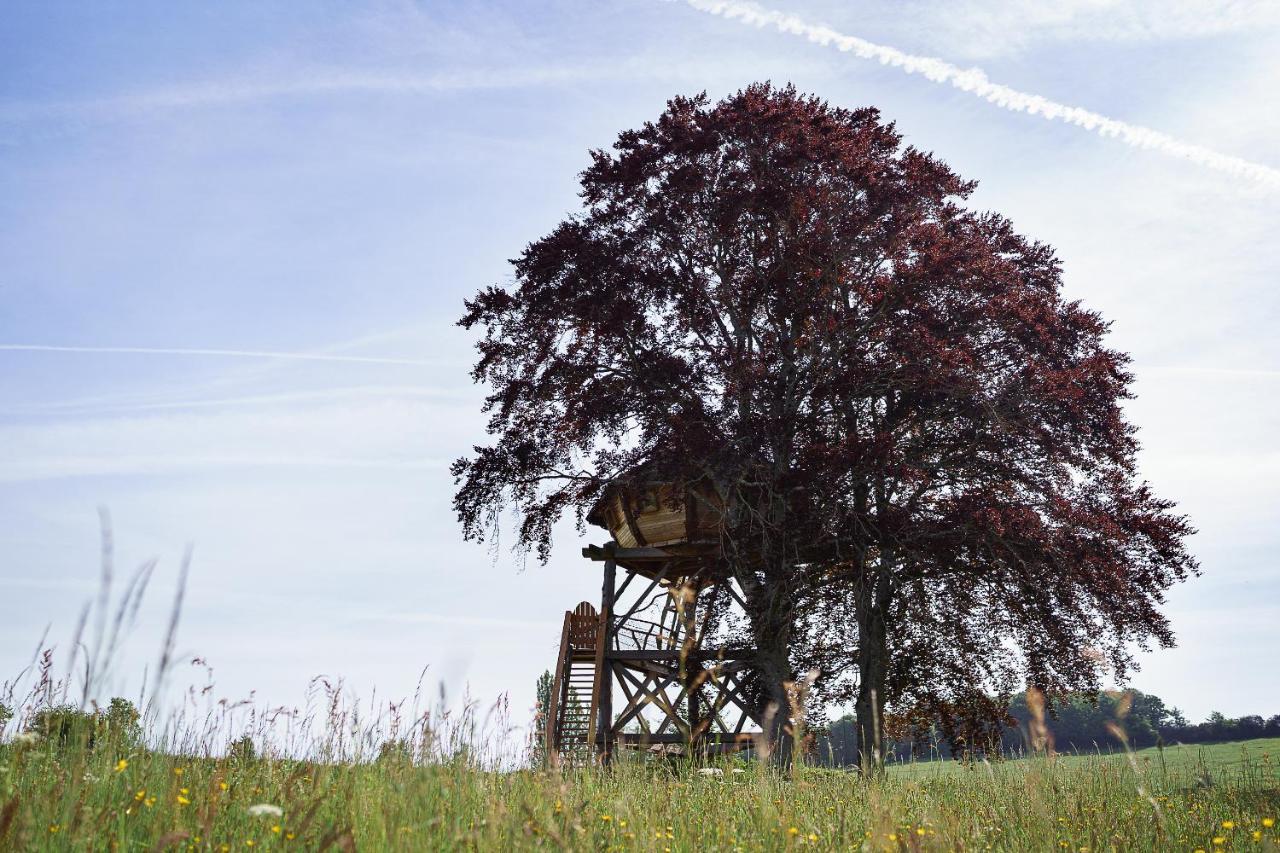 Cabane Perchee Dans Les Arbres Saint-Hilaire-en-Morvan Luaran gambar