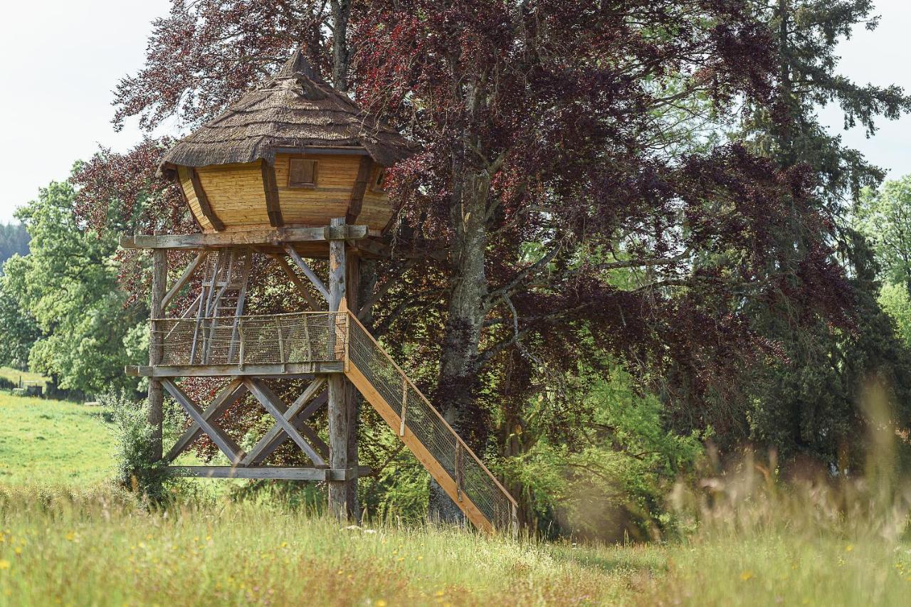 Cabane Perchee Dans Les Arbres Saint-Hilaire-en-Morvan Luaran gambar