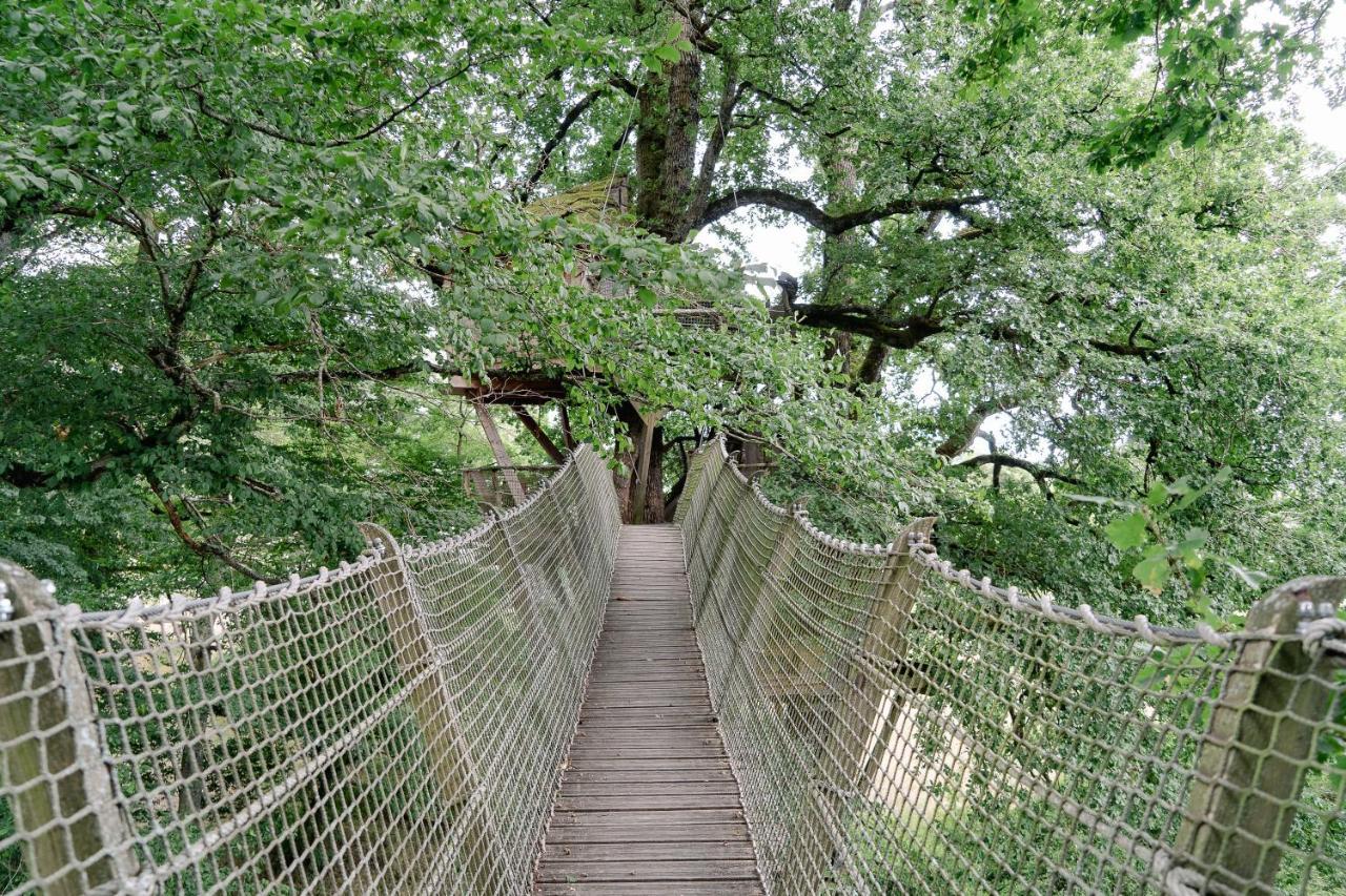 Cabane Perchee Dans Les Arbres Saint-Hilaire-en-Morvan Luaran gambar