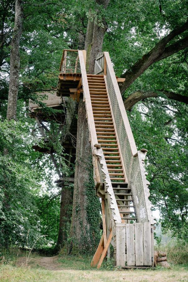 Cabane Perchee Dans Les Arbres Saint-Hilaire-en-Morvan Luaran gambar